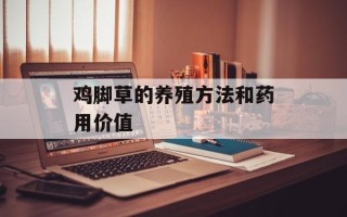 鸡脚草的养殖方法和药用价值