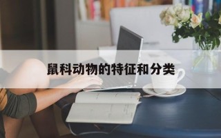 鼠科动物的特征和分类