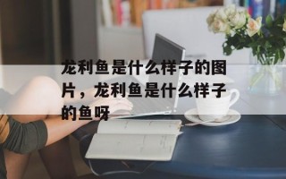 龙利鱼是什么样子的图片，龙利鱼是什么样子的鱼呀