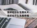 龙虾吃什么东西长大，龙虾吃什么东西养殖