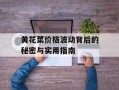 黄花菜价格波动背后的秘密与实用指南
