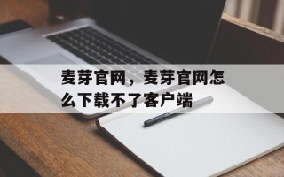 麦芽官网，麦芽官网怎么下载不了客户端