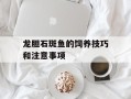 龙胆石斑鱼的饲养技巧和注意事项