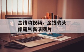 金钱豹视频，金钱豹头像霸气高清图片