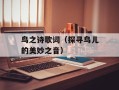鸟之诗歌词（探寻鸟儿的美妙之音）
