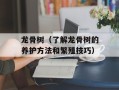 龙骨树（了解龙骨树的养护方法和繁殖技巧）