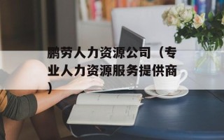 鹏劳人力资源公司（专业人力资源服务提供商）
