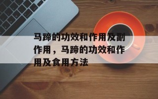 马蹄的功效和作用及副作用，马蹄的功效和作用及食用方法