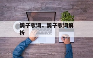 鸽子歌词，鸽子歌词解析