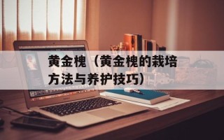 黄金槐（黄金槐的栽培方法与养护技巧）