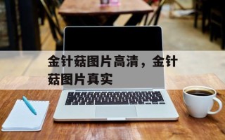 金针菇图片高清，金针菇图片真实