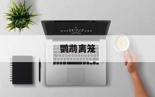 鹦鹉离笼