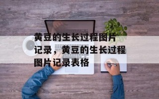 黄豆的生长过程图片 记录，黄豆的生长过程图片记录表格