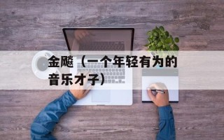 金飚（一个年轻有为的音乐才子）