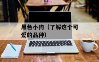 黑色小狗（了解这个可爱的品种）