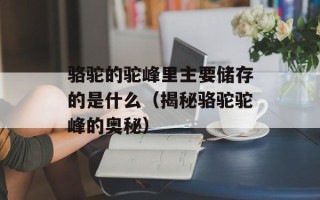 骆驼的驼峰里主要储存的是什么（揭秘骆驼驼峰的奥秘）