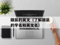 鼹鼠的英文（了解鼹鼠的学名和英文名）