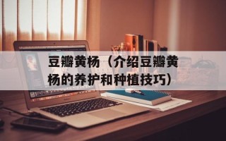 豆瓣黄杨（介绍豆瓣黄杨的养护和种植技巧）