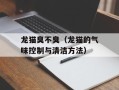龙猫臭不臭（龙猫的气味控制与清洁方法）