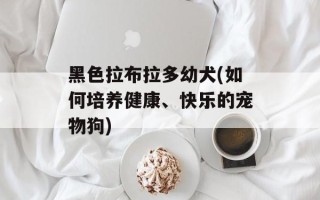 黑色拉布拉多幼犬(如何培养健康、快乐的宠物狗)