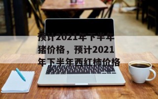 预计2021年下半年猪价格，预计2021年下半年西红柿价格