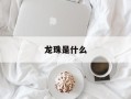 龙珠是什么