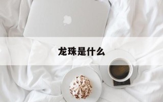 龙珠是什么