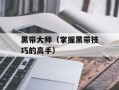 黑带大师（掌握黑带技巧的高手）
