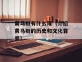黄马褂有什么用（介绍黄马褂的历史和文化背景）