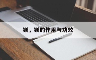 镁，镁的作用与功效