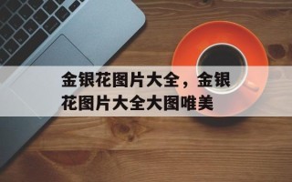 金银花图片大全，金银花图片大全大图唯美