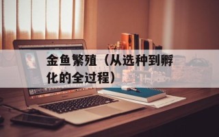 金鱼繁殖（从选种到孵化的全过程）