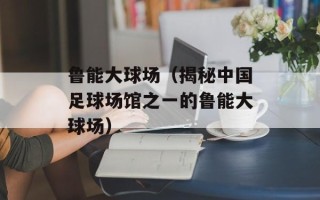鲁能大球场（揭秘中国足球场馆之一的鲁能大球场）