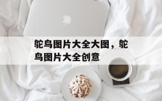 鸵鸟图片大全大图，鸵鸟图片大全创意