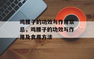 鸡腰子的功效与作用禁忌，鸡腰子的功效与作用及食用方法
