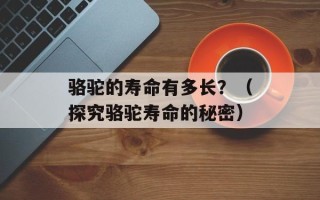 骆驼的寿命有多长？（探究骆驼寿命的秘密）