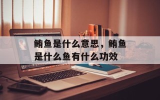 鲔鱼是什么意思，鲔鱼是什么鱼有什么功效