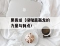 黑轰龙（探秘黑轰龙的力量与特点）
