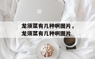 龙须菜有几种啊图片，龙须菜有几种啊图片