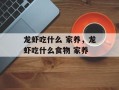 龙虾吃什么 家养，龙虾吃什么食物 家养