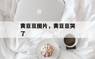 黄豆豆图片，黄豆豆哭了