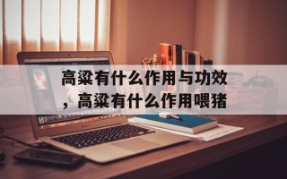 高粱有什么作用与功效，高粱有什么作用喂猪