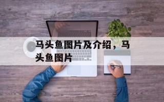 马头鱼图片及介绍，马头鱼图片