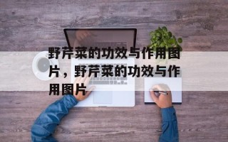 野芹菜的功效与作用图片，野芹菜的功效与作用图片