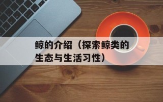 鲸的介绍（探索鲸类的生态与生活习性）