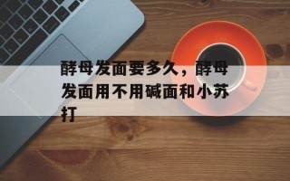 酵母发面要多久，酵母发面用不用碱面和小苏打