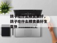 鸽子吃什么粮食最好，鸽子吃什么粮食最好生蛋快