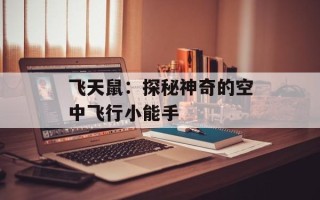 飞天鼠：探秘神奇的空中飞行小能手