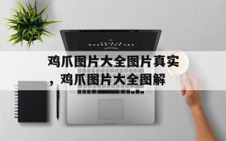 鸡爪图片大全图片真实，鸡爪图片大全图解