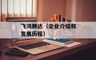 飞鸿腾达（企业介绍和发展历程）